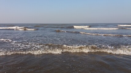 seagulls on the beach