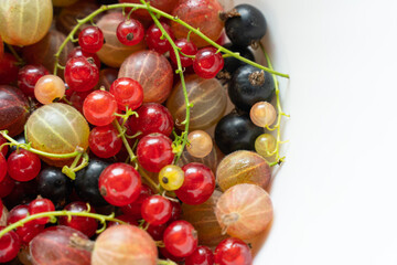 in the foreground black and red currant berries and gooseberries lie on a white plate