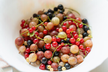 in the foreground black and red currant berries and gooseberries lie on a white plate