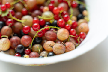 red and green berrys
