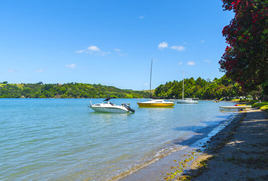 Panoramic View Of Campbells Beach Matakana, Tawharanui Peninsula, Auckland New Zealand