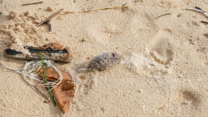 Environmental pollution. Ecological problem. Garbages, plastic, and wastes on the sandy beach of tropical sea.