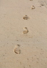 Footprints in the sand background.
