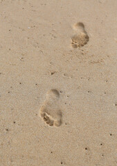 Close-up Footprints in the sand.