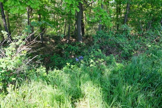 「138」の画像 1,126 件の Stock 写真、ベクターおよびビデオ Adobe Stock