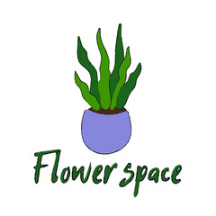 flower potted color logo.House plant in pot hand-drawn icon banner. Vector thin sign of plants growth,flower store logo.Gardening illustration.haworthia succulent logo logotype web flower