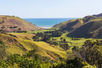 Obraz premium New Zealand hills