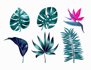 Vector tropical trendy summer palm leaves and flower, jungle leaves, split leaf, philodendron leaves isolated on white background. EPS 10.