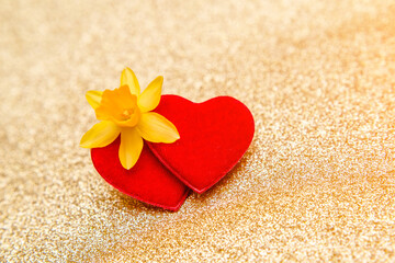 Fototapeta premium Heart symbol and yellow narcissus on a gold background 