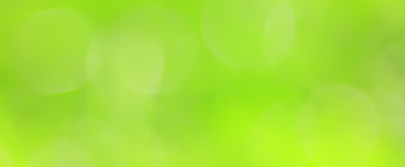 Obraz premium green background, panoramic view long blurred gradient green summer abstract