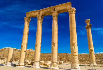 Fototapeta premium It's Grec-Roman columns of Palmyra, Syria
