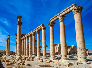 Fototapeta premium It's Great Colonnade at Palmyra was the main colonnaded avenue in the ancient city of Palmyra in the Syrian Desert. UNESCO World Heritage Site