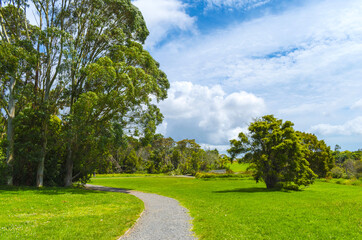 Panoramic View of Waiatarua Reserve, Remuera - Auckland New Zealand; Pathways, Wetland Area