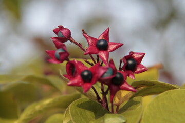 Faszination der Farben