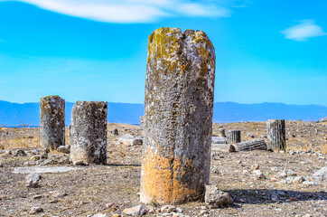It's Stones of the ruins of Apamea, in Syria