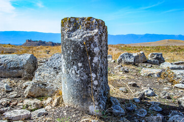 It's Nature and stones of Apamea, Syria