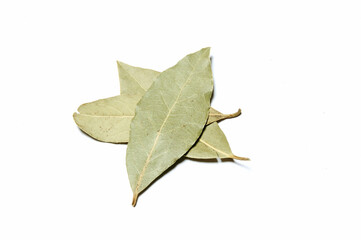 Fototapeta premium Bay Leaf, Close Up against white background