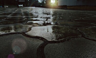 Obraz premium rain on the street