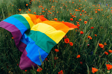 LGBT Flag. Colorful rainbow flag, the symbol of sexual minorities, lying on the poppy field....