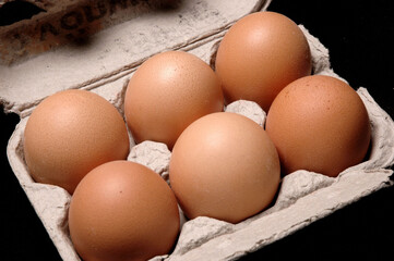 Egg Carton, Close Up against black background.