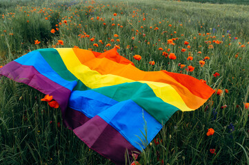 LGBT Flag. Colorful rainbow flag, the symbol of sexual minorities, lying on the poppy field....