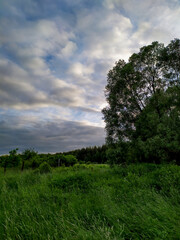 Obraz premium Beautiful sky at sunset. Field with green grass against the sunset sky.