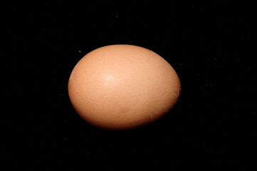 Egg, Close Up against black background.