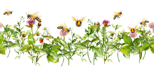 Honey bees in summer flowers, field grasses. Seamless floral border. Watercolor - 358730727