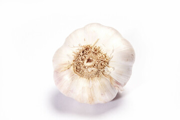 Garlic, Close Up against white background.