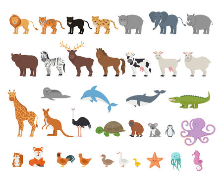 Сollection of wild jungle, savannah and forest animals, birds, marine mammals, fish. Vector illustration in flat style, isolated on white background