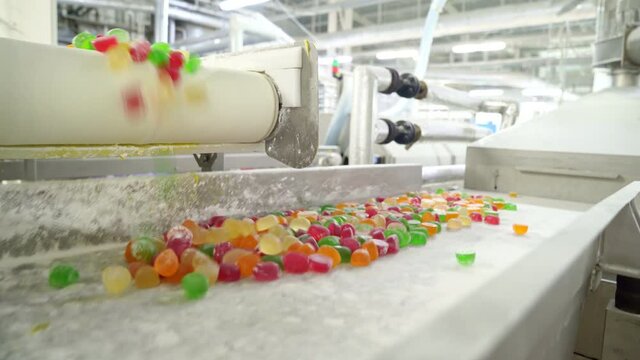 colorful marmalade rolls on conveyor. production line. confectionery factory.