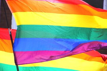 colorful flags representing equality and diversity for Pride and LGBTQ