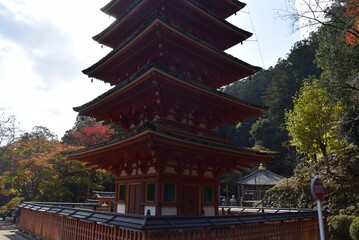 Fototapeta premium 長谷寺建造物