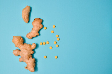 Ginger in different conditions: fresh, dry root, pills and cut plant on pastel blue background....