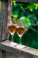 Two glasses of rose wine with bottle outdoors in garden party in vineyard. Wine tasting with red grapes on wooden ladder, harvest time, copy space