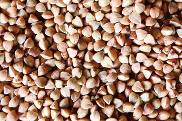 buckwheat scattered on the table
