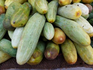 fresh cucumbers in market