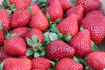 strawberries