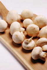 Mushrooms on Wooden Shingle on white background