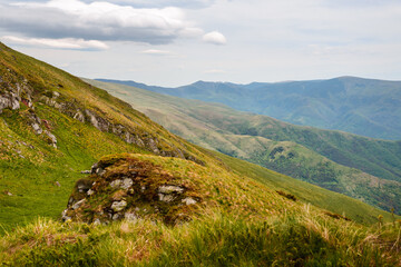 Obraz premium Green valley nature landscape.