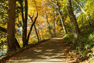 中禅寺湖畔の紅葉／Autumn leaves around Lake Chuzenji in Nikko / Tochigi Prefecture, Japan