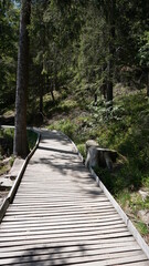 the footbridge at the beautiful Lake Mummelsee in the Black Forest in the month of May, Germany