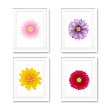 Picture Frame With Flowers Isolated With Gradient Mesh, Vector Illustration