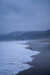 Malibu-landscape-beach-yoga-nature