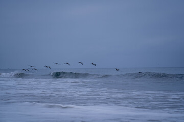 America-sea-beach-waves