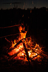 Warm bright bonfire / fireplace on the summer / spring night at the polish lake in the forest