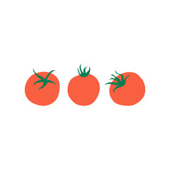 Three flat tomatoes on the white background food illustration. Color tomato logo design