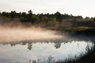 Obraz na płótnie Canvas Misty morning / evening on the lake in Poland. Europe
