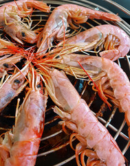 Giant shrimps on a grill close up