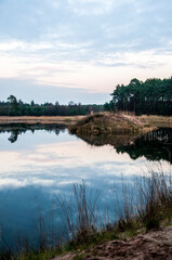 lake in the forest in poland with reflection of trees